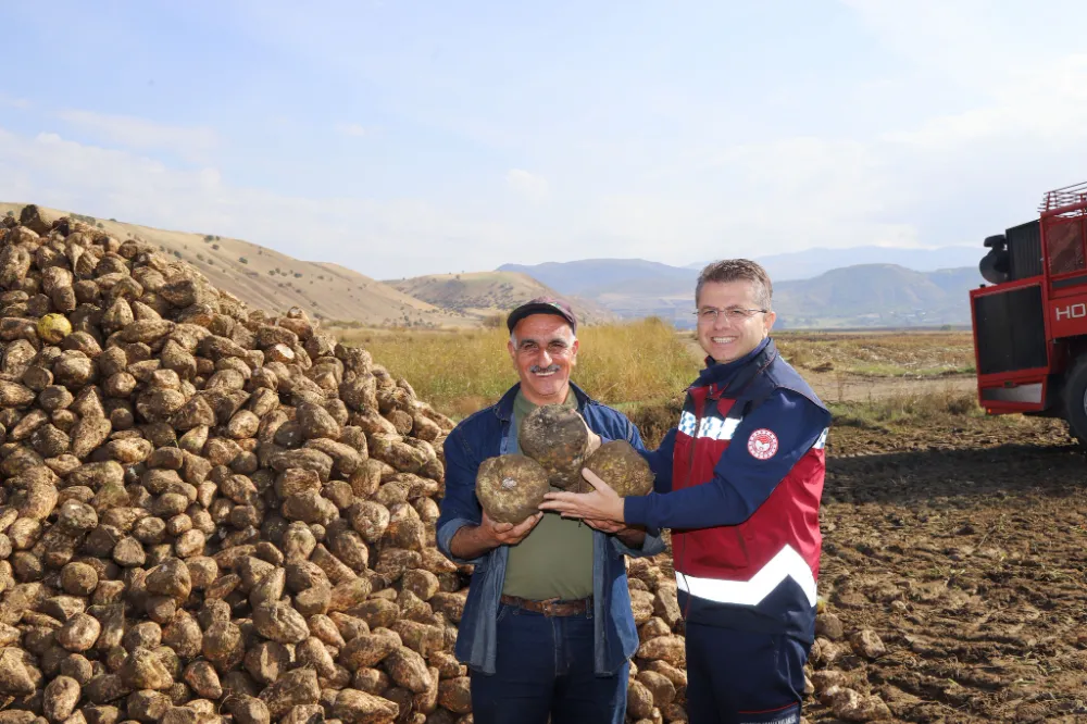 BİNGÖL’DE ŞEKER PANCARI HASADI BAŞLADI