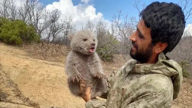 BİNGÖL’DE YÜREK ISITAN KURTARMA: İKİ KARDEŞ, AYI YAVRUSUNU ÇOBAN KÖPEKLERİNİN SALDIRISINDAN KURTARDI